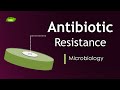 Antibiotic resistance mechanisms  full lecture  basic science series