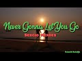 🎤Never Gonna Let You Go  - Sergio Mendes (Lyrics)