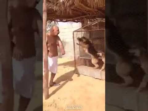 رقص على مهرجان بطنى بتضحك