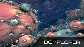 Boxplorer (procedural GPU fractals)