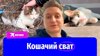 Известный блогер спасает уличных котиков