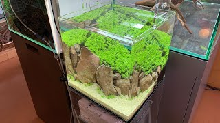 ミスト式で立ち上げるウォーターローン草原レイアウトの作り方～３０ｃｍキューブ水槽編① The making of 30cm cubic aquarium drystart 水草水槽立ち上げノウハウ