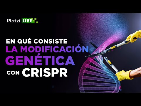 Vídeo: Los Genetistas Planean Crear Embriones Humanos Modificados - Vista Alternativa