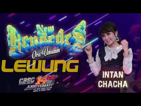 new-kendedes---intan-chacha---lewung---di-anniversary-14th-cbsc-salatiga-#edancb_official