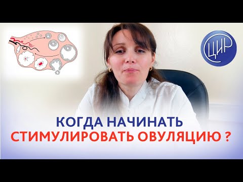 Стимуляция овуляции. когда начинать стимуляцию овуляции? Кломифен, летрозол, гонадотропины.