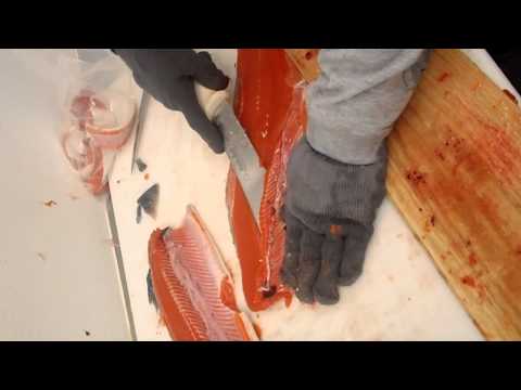 Video: Sockeye Filee Kreemjas Juustukoores