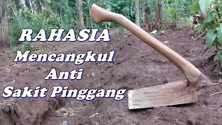 Cara Mencangkul Yang Benar Agar Tidak Mudah Sakit Pinggang || CAS Tutorial Channel