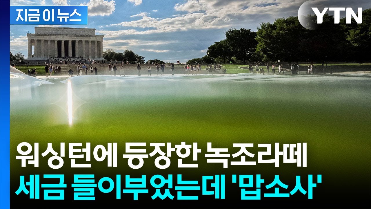 트럼프 