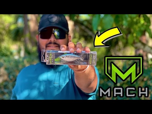 Mach Baits MACH SHAD Review! Are They Worth The Hype