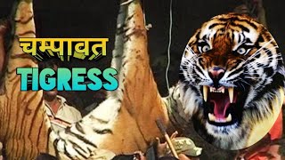 चम्पावत Tigress Part 2 । Champawat Man Eater Tigress । शिकार कहानी । जिम कार्बेट । Jim Corbett