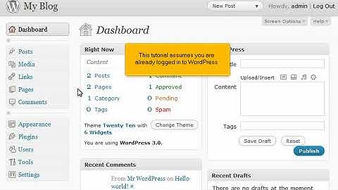 How to write a comment in WordPress