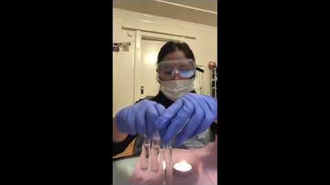 week 6 Environmental Influences on Microbial Growth – Salt Tolerance Testing - Part 1