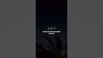 Сура Ар-Рад Аят 28 سوره الرعد ايه 28 #аллоху #субханаллах #قرآن #قران_كريم #quran #коран #قران_كريم