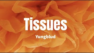 Tissues - Yungblud (Lyrics)