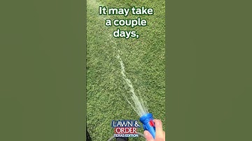 Brown Spot Strikes Again! 🟤☀️ How to Fix It Fast with Fungus Control