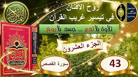 43- سورة القصص - شرح غريب القرآن - تقديم عماد بن أنور الديب