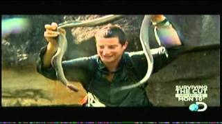 Man Vs Wild Biting The Head Off A Snake Man Vs Wild Biting The Head Off A Snake