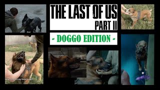 Let's talk about the dogs in 'The Last of Us Part II