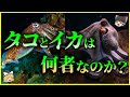 【ゆっくり解説】地球外生命体⁉「タコ」と「イカ」は何者なのか?を解説/心臓が3つ⁉謎が多すぎる生態の謎について