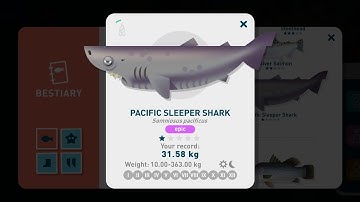 Creatures of the Deep - Pacific Sleeper Shark