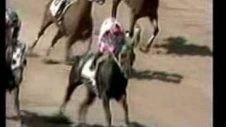 dashin_is_easy_speed.wmv