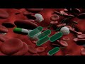 Typhoid Awareness Video