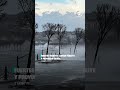 El mundo sin palabras: noticias del 4 al 10 de enero