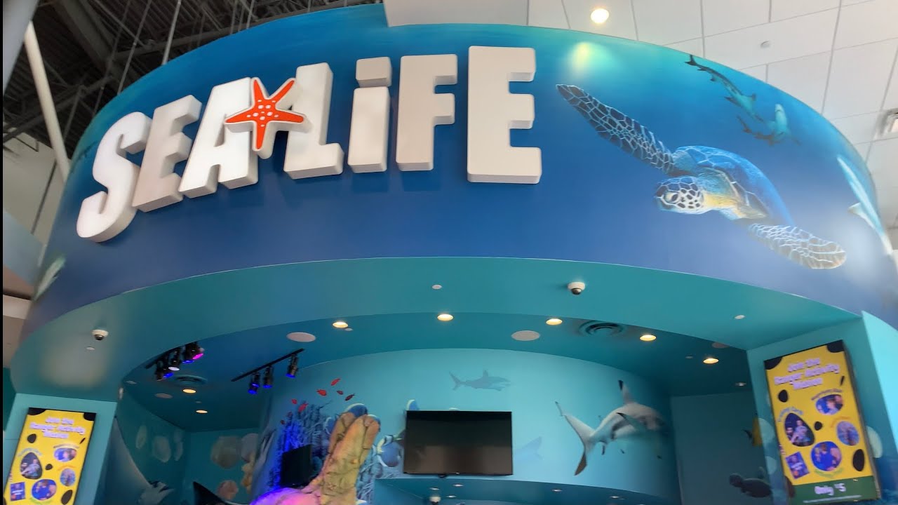 SEA LIFE ORLANDO AQUARIUM TRAILER YouTube