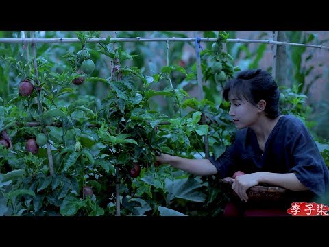 吃法一抓一大把，浸润夏天的沁凉果味——百香果the passion fruit |Liziqi channel