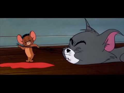 Tom and Jerry cartoon episode 108 - Mucho Mouse 1956 - Funny animals cartoons for kids
