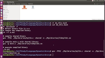 C Programming | How to Use Dynamic Libraries