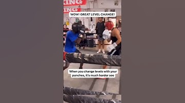Change levels with your punches #boxing #knockout #sparring #boxing #canelo