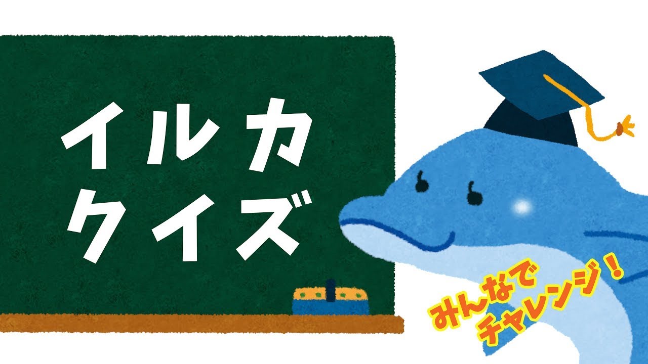 海洋プラスチックごみ問題について イルカくんが教えてくれるよ ニンゲンのみんなへ ボク 地球が心配なんだ Youtube