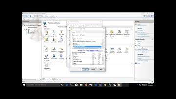 Asp.Net Core with Angular Application Publish on IIS Angular 19 Asp.net core