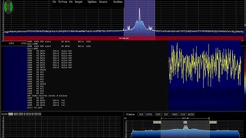 DMR Radio Talkgroup 91