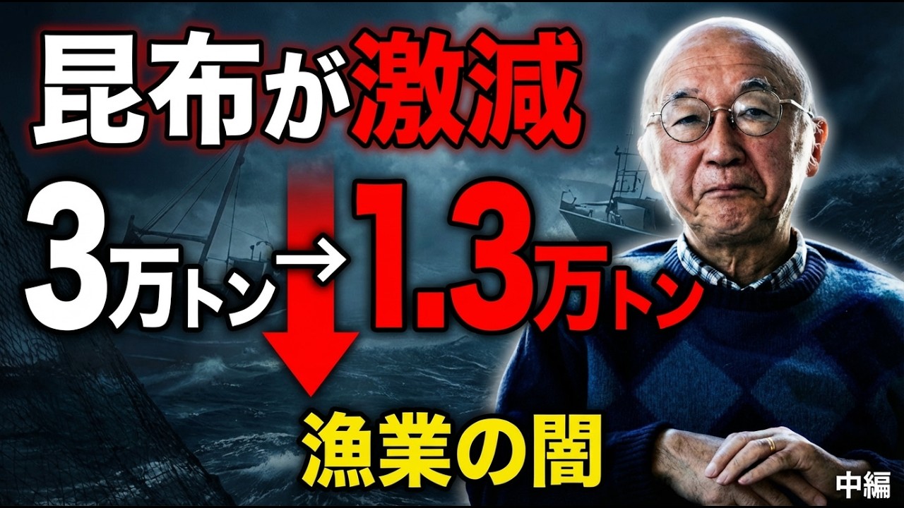 【昆布危機】30年で3万トン→1.3万トンに激減｜日本の出汁文化が消える？~中編~