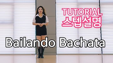 Bailando Bachata Line Dance/💕TUTORIAL/스텝설명 영상