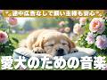 犬が落ち着く音楽 (12時間広告なし) 🐶 犬が好きな音楽 | ヒーリングピアノ / 愛犬のストレス解消 / vol.983