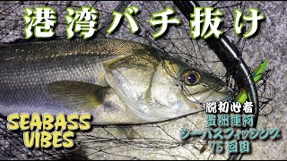 シーバスルアー　27点セット バチ抜け 釣り シーバスルアー 27点セット バチ抜け 釣り