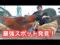 気づくの遅すぎ！？ ニワトリ飼う前にまずはココ！