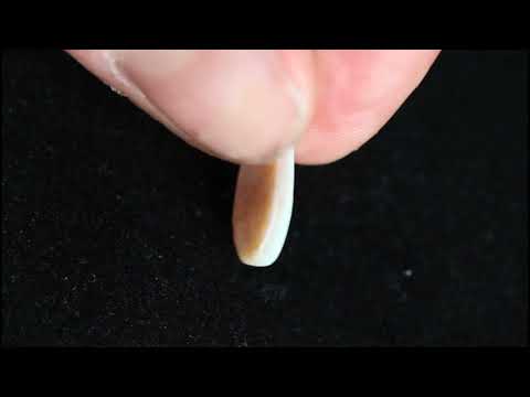 2 55ct polished white opal Coober Pedy