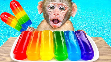 KIKI Monkey BOUGHT Every Rainbow Jelly and Swimming in Pool with His Duck Friend | KUDO ANIMAL KIKI