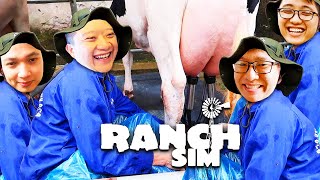4 TRAI THÀNH PHỐ THỬ VẮT SỮA BÒ =))) Giờ mới thấy TRÂN QUÝ từng giọt sữa tươi !!! - Ranch Simulator screenshot 2