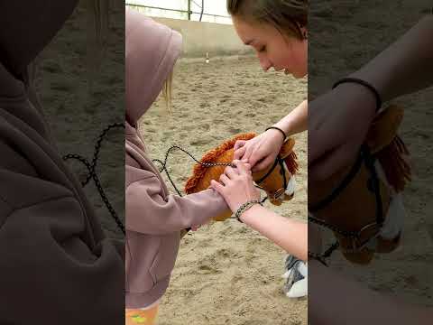 Хоббихорсинг  Взаимопомощь Алена и Варя