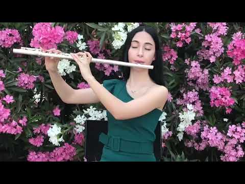 Bir Tek Annem Olsun Bana Bir Şey Olmaz (Sertab Erener) cover - Begüm Tekakpınar