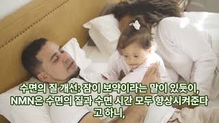 젊음의 묘약 NMN의 건강보조식품 영양제