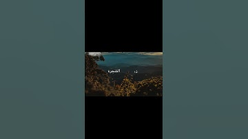 سورة الأعراف🖤🥀 #قرآن_كريم #قرآن #المصحف #اكسبلور