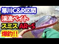 【箒川C&R区間】渓流釣りベイトフィネス【スミス AR-S】