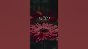 (ان الذين امنوا وعملوا الصالحات) بصوت #عبدالرحمن_مسعد#سورة_يونس