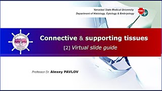 08. Connective & supporting tissues: virtual slide guide